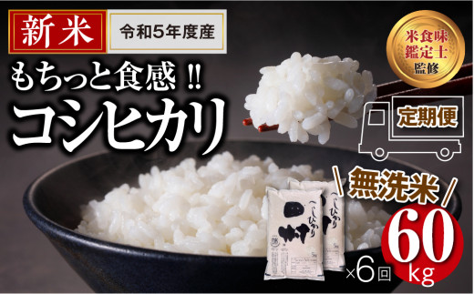 【 新米 令和5年産 】 【 無洗米 】 田村産 ＼定期便6回／ コシヒカリ 1俵 60kg 10kg ずつ 6回 配送ギフト 贅沢 のし対応  １週間以内発送 福島 ふくしま 田村 贈答 美味しい 米 kome コメ ご飯 ブランド米 精米したて お米マイスター 匠 食味鑑定士