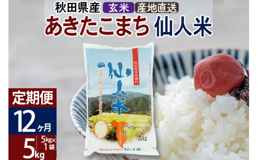 【定期便12ヶ月】新米 令和5年産 あきたこまち 秋田県産「仙人米」玄米 5kg（5kg×1袋）|農事組合法人アグリード仙人