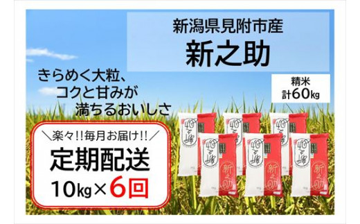 新米予約】【数量限定・定期配送】 令和5年産 新潟県産 新之助 精米 60