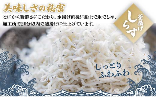 令和5年11月以降 年内発送】釜揚げしらす 230g×2パック(合計460ｇ