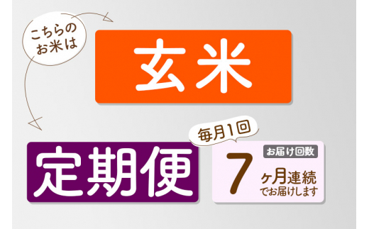 ふるさと納税 長崎県 壱岐市 【全6回定期便】壱岐牛キーマカレー