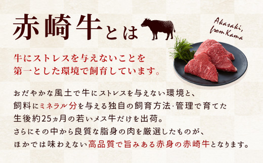 赤崎牛 【 サーロイン ステーキ 】約450g  脂の甘みが最高な 牛肉