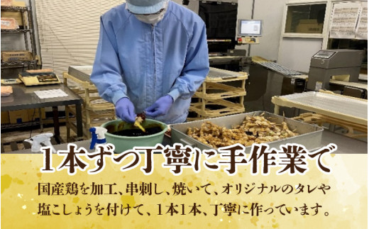 国産鶏】レンジでチンする焼き鶏 5種類 25本 焼き鳥セット