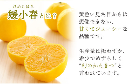 C25-144.ミヤモトオレンジガーデンの「媛小春2.5kg」|株式会社ミヤモトオレンジガーデン