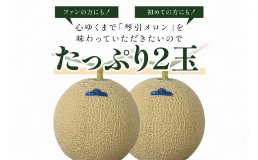 メロン／ブランドメロン＜糖度15度以上＞【先行予約】京のブランド産品