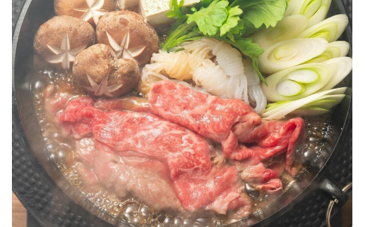 訳あり！博多和牛切り落とし 5kg(500ｇ×10ｐ）【牛肉 肉 博多和牛 和牛