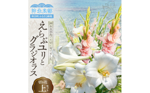 沖永良部島で大切に育てられた えらぶユリ・グラジオラス切り花（上