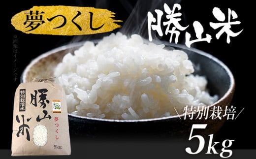 夢つくし 勝山米 種類を選べる [特別栽培 勝山米5kg] 福岡県産 特別栽培米