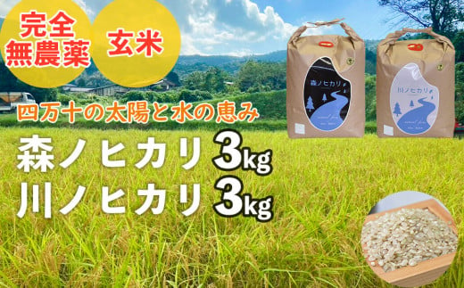 【2024年産・新米】完全無農薬の玄米『森ノヒカリ(3kg)』『川ノヒカリ(3kg)』セット　Bnm-21　／お米 朝日 新米 数量限定 四万十 高知 チェーン除草 贈り物 ギフト プレゼント お取り寄せ お歳暮 お中元 御年賀 1550877 - 高知県四万十町