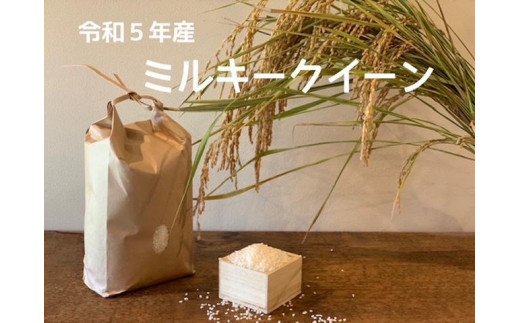 献上煎茶熊切（くまきり）150ｇ×2缶 桐箱入り - 栃木県栃木市