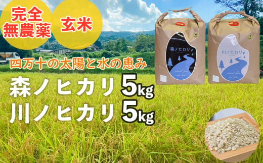 【2024年産・新米】完全無農薬の玄米『森ノヒカリ(5kg)』『川ノヒカリ(5kg)』セット　Bnm-22　／お米 朝日 新米 数量限定 四万十 高知 チェーン除草 贈り物 ギフト プレゼント お取り寄せ お歳暮 お中元 御年賀 1550878 - 高知県四万十町