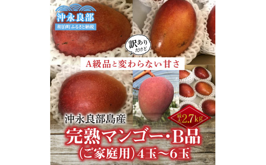 先行予約】安くて美味しい・完熟マンゴー(ご家庭用)2Kg 4玉～6玉 【7月