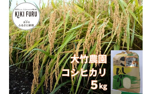 令和５年産　大竹農園　「コシヒカリ」５kg 650241 - 愛媛県西予市