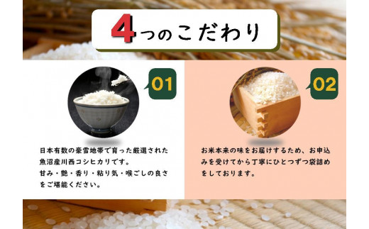 数量限定 従来品種 魚沼産コシヒカリ 精米 5kg 令和5年度産 - 新潟県