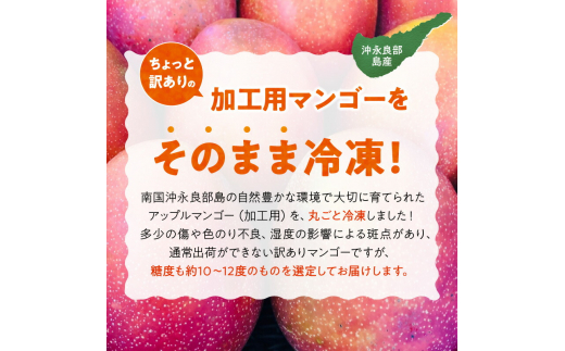 □「訳あり」加工用冷凍マンゴー１キロ（２～３玉） /沖永良部島産