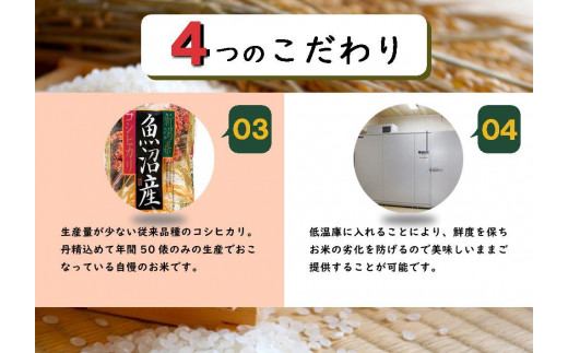 数量限定 従来品種 魚沼産コシヒカリ 精米 5kg 令和5年度産 - 新潟県