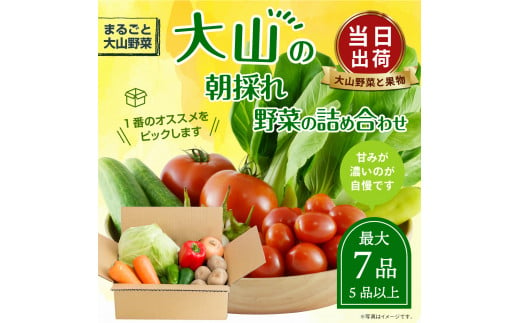 MS-01　新鮮朝採れ野菜　お手ごろセット 866097 - 鳥取県大山町