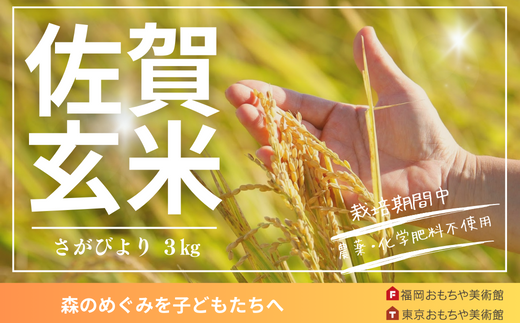 [さがびより]特別栽培「実り咲かす」玄米3kg