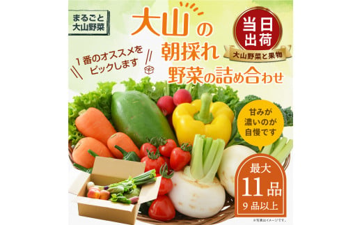 MS-02　新鮮朝採れ野菜セット 865932 - 鳥取県大山町