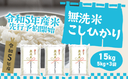 K1959 【令和5年産】【6か月毎月発送】 定期便 1000セット 限定 お米 4