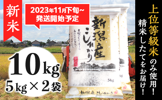 K101新潟県産コシヒカリ10kg（5kg×2袋）