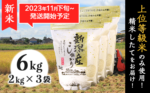 K61新潟県産コシヒカリ6kg（2kg×3袋） - 新潟県胎内市｜ふるさと