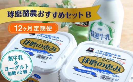 【12ヶ月定期便】球磨酪農おすすめセットB（瓶牛乳&ヨーグルト加糖×2個） 1074151 - 熊本県湯前町