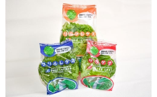 【F01003】完全無農薬レタス　夢野菜詰め合わせ15袋セット 319610 - 大分県大分市