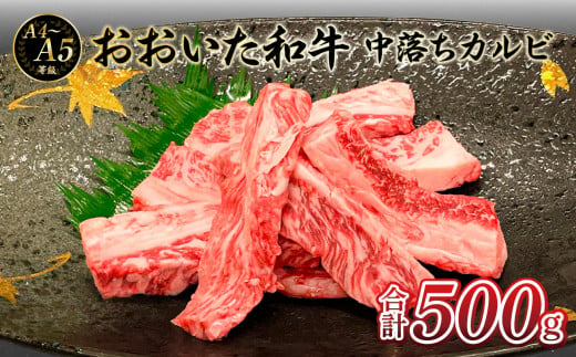 厳選A4〜A5等級 おおいた和牛 中落ちカルビ 500g 牛肉 和牛 中落ちカルビ 冷凍 霜降り 赤身 おおいた和牛 焼肉 大分県 大分市