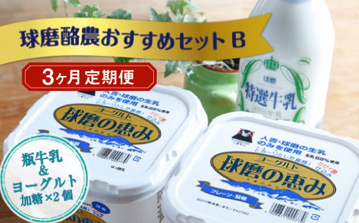 【3ヶ月定期便】球磨酪農おすすめセットB（瓶牛乳&ヨーグルト加糖×2個） 1074134 - 熊本県湯前町