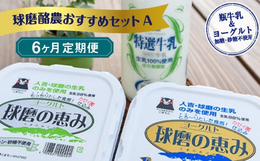 【6ヶ月定期便】球磨酪農おすすめセットA（瓶牛乳&ヨーグルト加糖・砂糖不使用） 1074132 - 熊本県湯前町