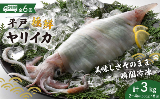 全6回定期便】朝獲れ！平戸地魚詰合せ定期便 平戸市 / 平戸瀬戸市場