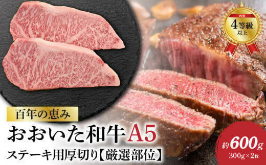 [敬老の日ギフト]百年の恵み おおいた和牛A5 ステーキ用厚切り[厳選部位]約600g[9月16日お届け] 牛肉 和牛 ステーキ 厚切り A5 霜降り 厳選部位 ロース サーロイン 肩ロース A01104-K