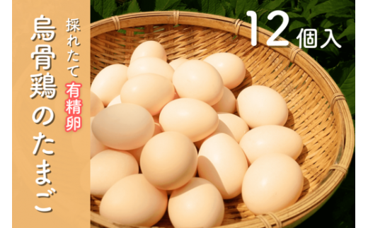 烏骨鶏のたまご　有精卵１２個入り 789965 - 高知県中土佐町