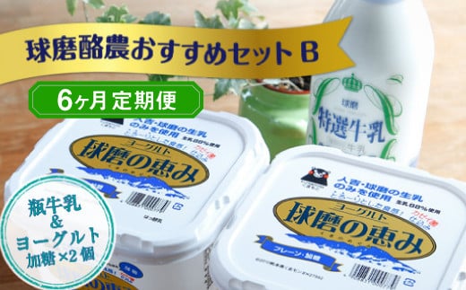 【6ヶ月定期便】球磨酪農おすすめセットB（瓶牛乳&ヨーグルト加糖×2個） 1074150 - 熊本県湯前町