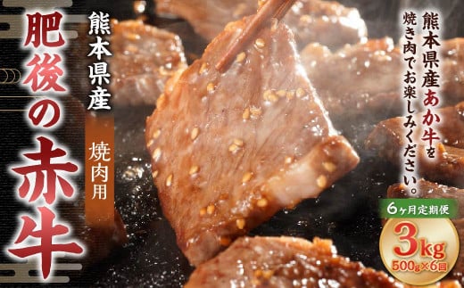 【6ヶ月定期便】肥後の赤牛 焼肉用 500g 合計3kg 1855091 - 熊本県菊陽町