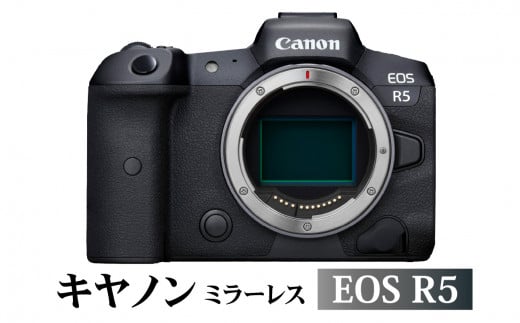 【R14141】キヤノンミラーレスカメラ　EOS R5