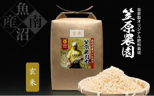 定期便】【令和５年産】南魚沼産 笠原農園米 コシヒカリ玄米【5kg×全６