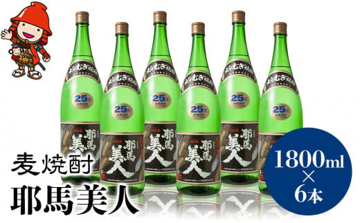 麦焼酎 耶馬美人 25度 1,800ml×6本 大分県中津市の地酒 焼酎 酒