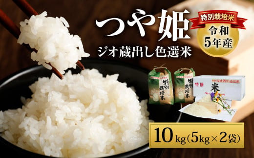 大分県 豊後大野市産 つや姫 ジオ蔵出し色選米 特別栽培米 10kg (5kg×2袋) 米 精米