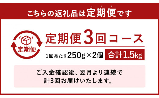 【3ヶ月定期便】熊本県産 栗 渋皮煮 250g×2個セット
