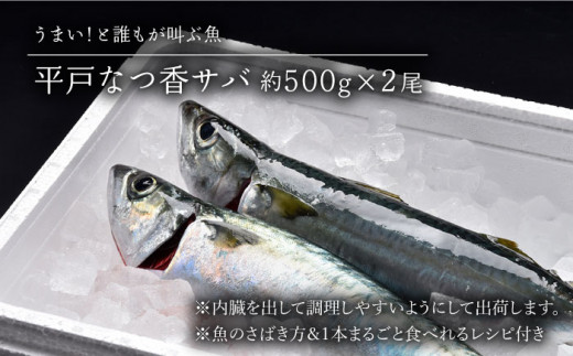 【受付停止】【着日指定 可能】【平戸生まれのブランド魚】平戸なつ香 サバ 約500g×2尾 平戸市 / 坂野水産 [KAA201]