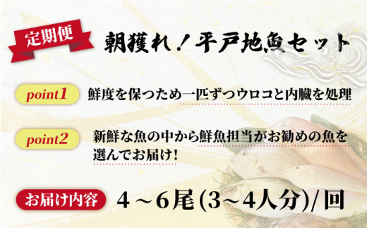 【全6回定期便】朝獲れ！平戸地魚詰合せ定期便 平戸市 / 平戸瀬戸市場協同組合 [KAA304]