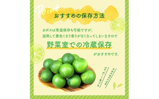 C09022】【期間限定9月末まで】大分の露地カボス 約1.8kg - 大分県大分