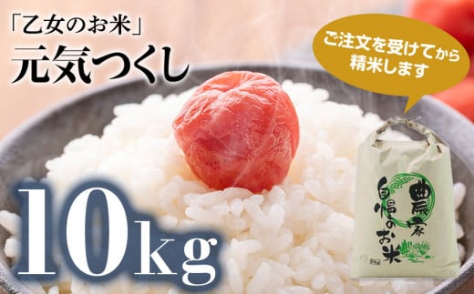 令和6年産「乙女のお米」元気つくし　１０kg 230255 - 福岡県田川市