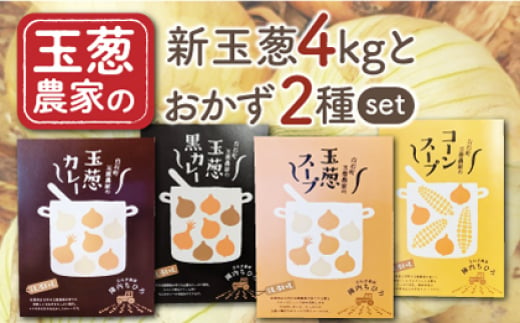 【農家直送！】新玉葱4kg と 選べるおかず2種 Fセット【玉葱農家 陣内ちひろ】 [IAO024] 1094777 - 佐賀県白石町