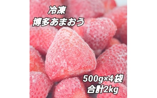 福岡県産＜博多冷凍あまおう＞約500g×4袋 合計約2kg【1443749】 1074396 - 福岡県大野城市