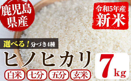 No.397 ＜訳あり＞業務用スパゲッティ(200g×25食・計5kg)【福山食品