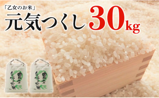 令和6年産「乙女のお米」元気つくし　３０kg 230257 - 福岡県田川市