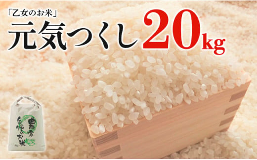 令和6年産「乙女のお米」元気つくし　２０kg 230256 - 福岡県田川市